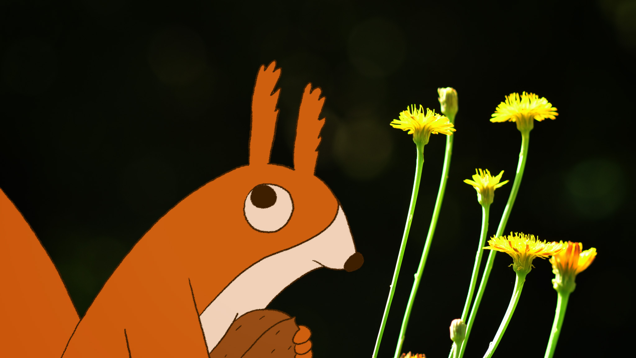 Kortfilmfestival Leuven - Nutissimo