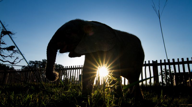 ScienceVille voor Kinderen