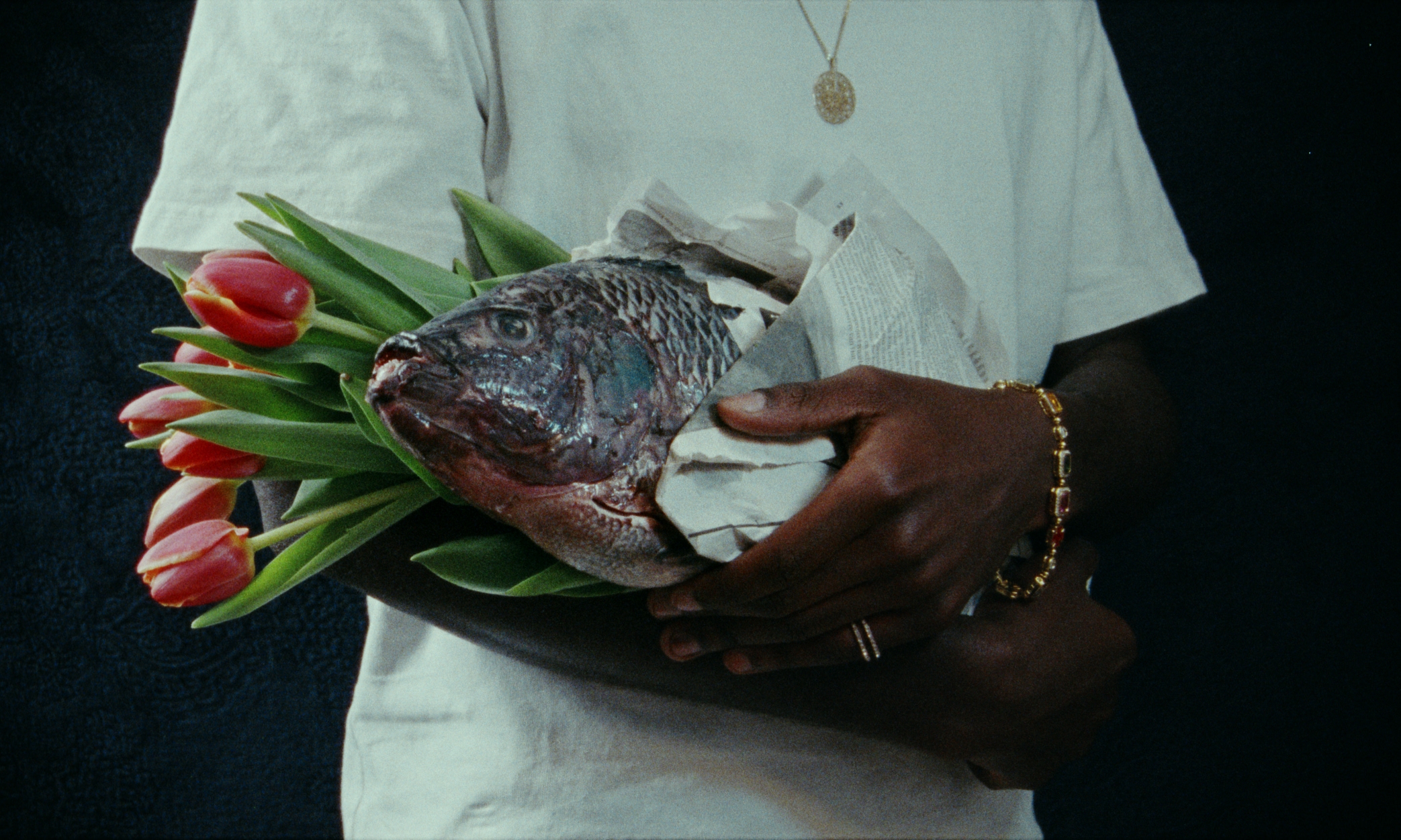 Kortfilmfestival Leuven - Tilapia