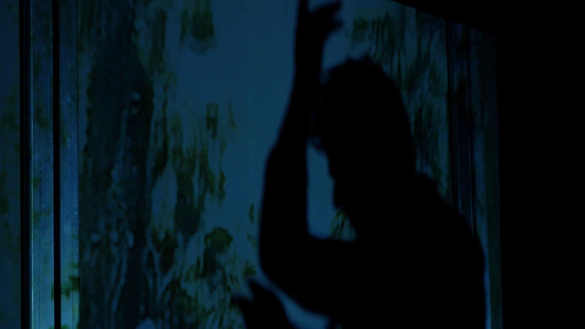 Kortfilmfestival Leuven - Dancing Palestine