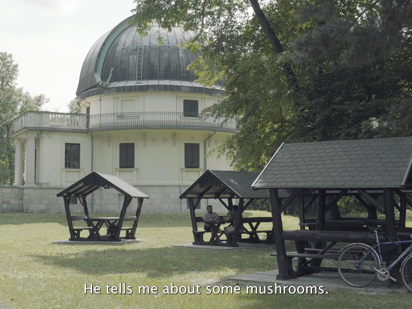 Kortfilmfestival Leuven - Signals from an Island
