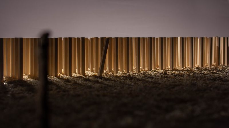 Archief 2024 - Flemish Competition: Animation