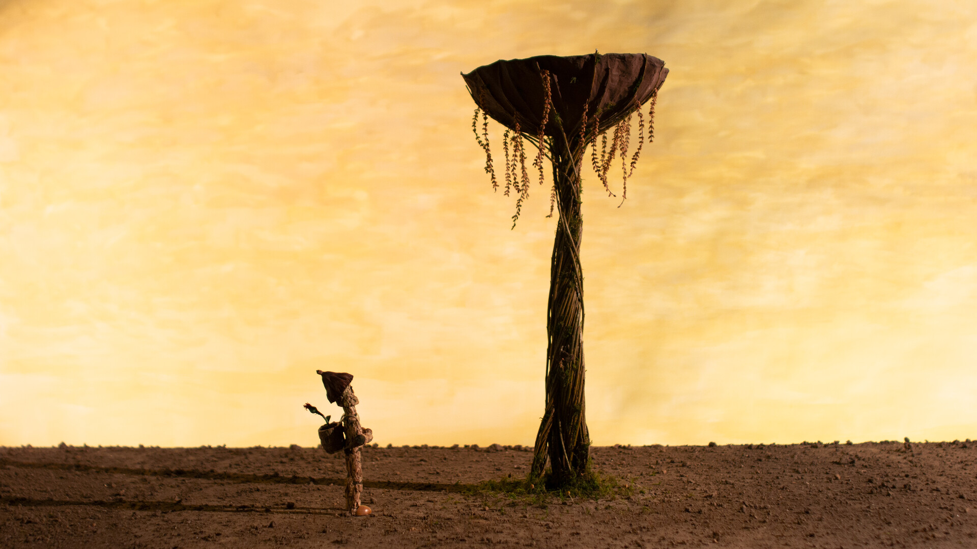 Kortfilmfestival Leuven - Calyx