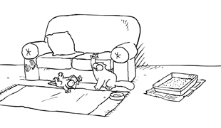 Kortfilmfestival Leuven - Simon's Cat: Double Trouble