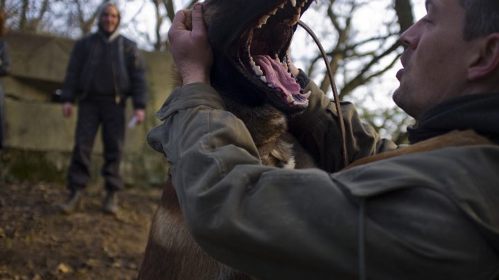 Kortfilmfestival Leuven - Fils du loup