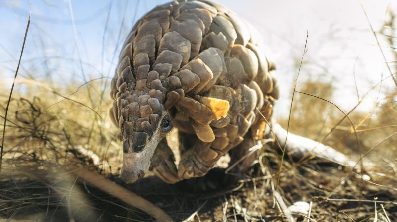 ScienceVille voor Kinderen